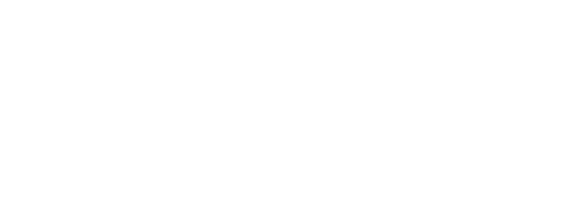 NETGEAR AV